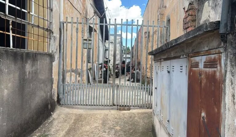 Mulher morre após ataque de pitbull em Campinas